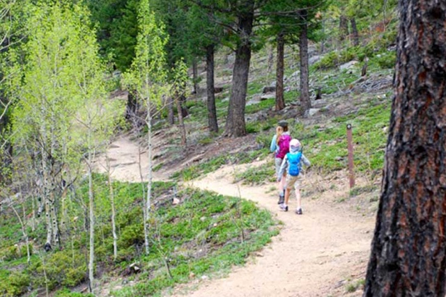 Blue Grouse Trail at Golden Gate Canyon State Park