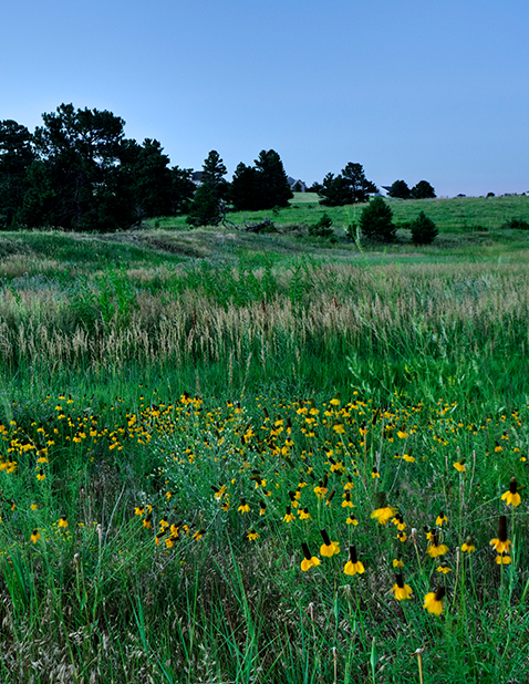 Inspiration Colorado Commitment to Sustainability
