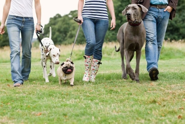 Trails and Tails Event at Inspiration Community Pathfinder Park | Parker CO