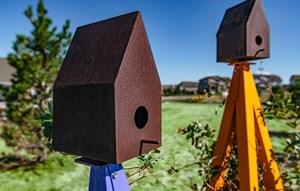 Inspiration-birdhouse-hops-garden-douglas-county-colorado.jpg