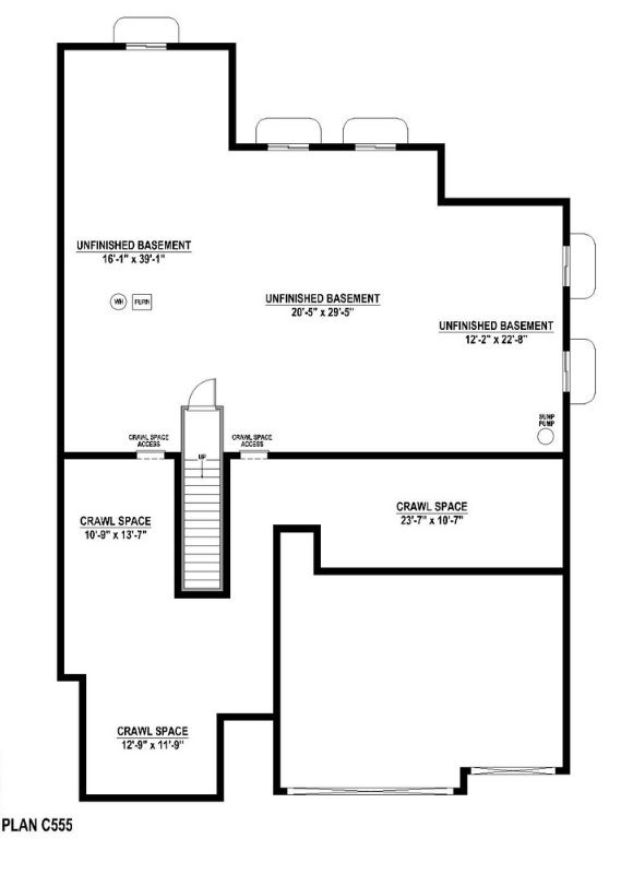 C555_by_American_Legend_Floorplan_Basement.jpg