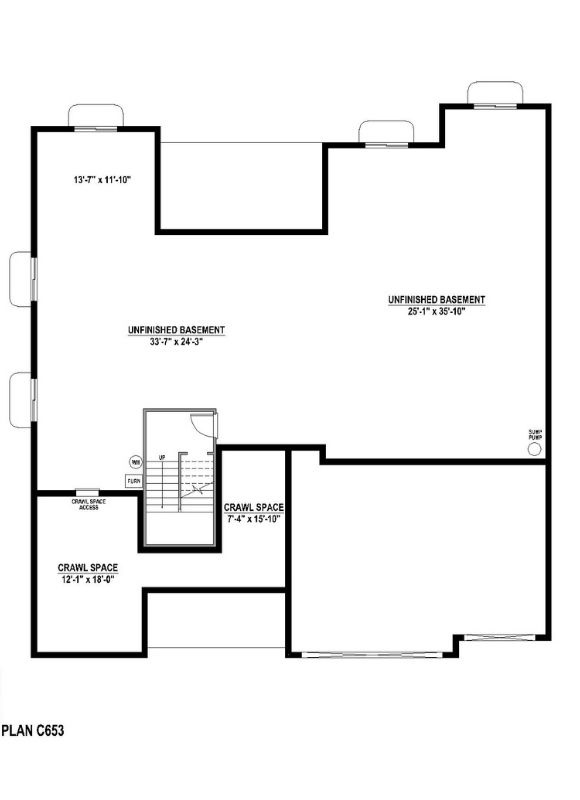 C653_by_American_Legend_Floorplan_Basement.jpg