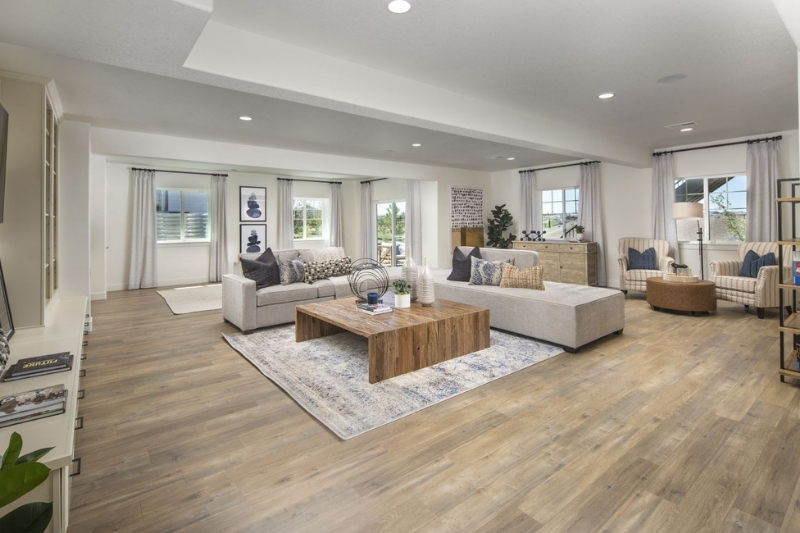 American_Legend_Inspiration_Hilltop_Model_C555_basement_rec_room.jpg